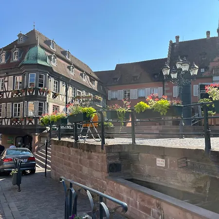 La Terrasse Du Vignoble - Garage Et Parking Privatifs Barr