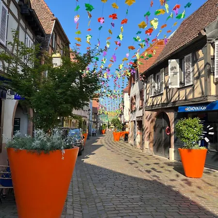 Apartment La Terrasse Du Vignoble - Garage Et Parking Privatifs *