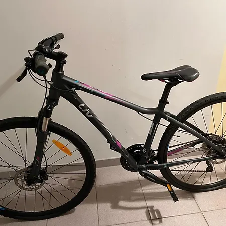 La Terrasse Du Vignoble - Garage Et Parking Privatifs Apartment Barr