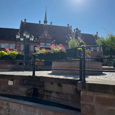 La Terrasse Du Vignoble - Garage Et Parking Privatifs *