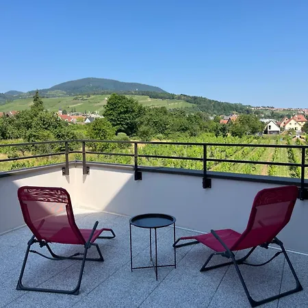 Apartment La Terrasse Du Vignoble - Garage Et Parking Privatifs Barr