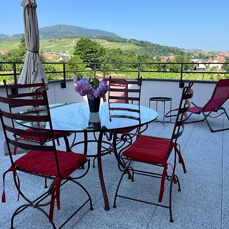 Apartment La Terrasse Du Vignoble - Garage Et Parking Privatifs