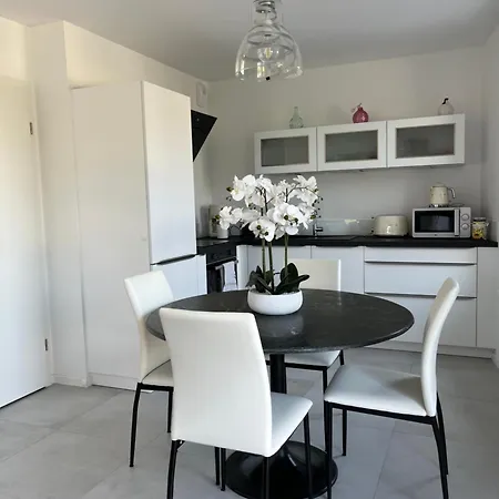 Apartment La Terrasse Du Vignoble - Garage Et Parking Privatifs Barr