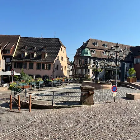 La Terrasse Du Vignoble - Garage Et Parking Privatifs * Barr