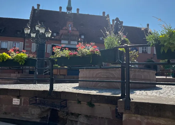 La Terrasse Du Vignoble - Garage Et Parking Privatifs *