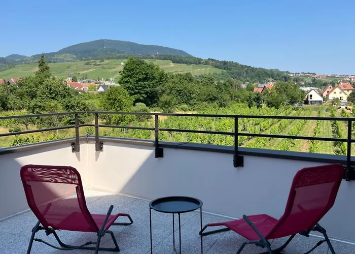 Апартаменты La Terrasse Du Vignoble - Garage Et Parking Privatifs Барр